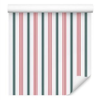 Wallpaper Modern In Colorful Vertical Striped Living Room Non-Woven 53x1000
