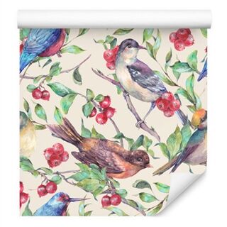 Wallpaper Beautiful Colorful Birds Non-Woven 53x1000