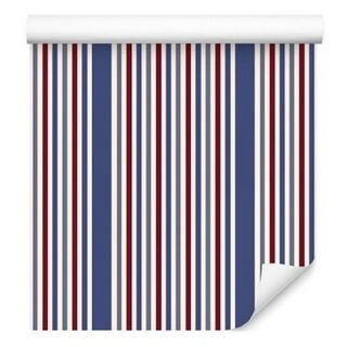 Wallpaper Classic In Colorful Striped Bedroom Living Room Non-Woven 53x1000