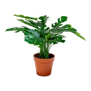 Monstera - Kunstig plante 45 cm