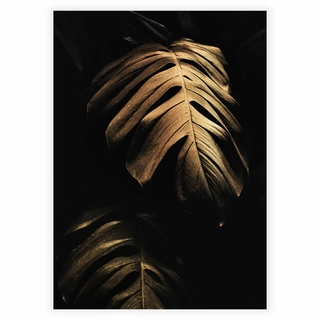 Golden Monstera leaves - Plakat