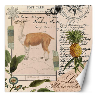 Fototapet, Shabby Chic Style Llama Natur Abstraktion Tropisk - Andrea Haase