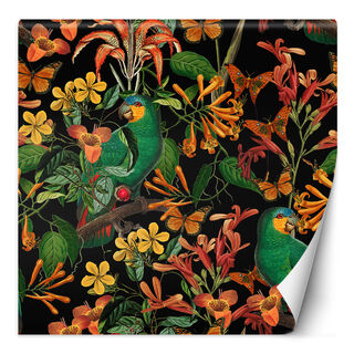 Fototapet, Jungle Bird Tropical Leaves Colourful Abstract - Andrea Haase