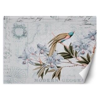 Fototapet, Shabby chic fugle blomster blade