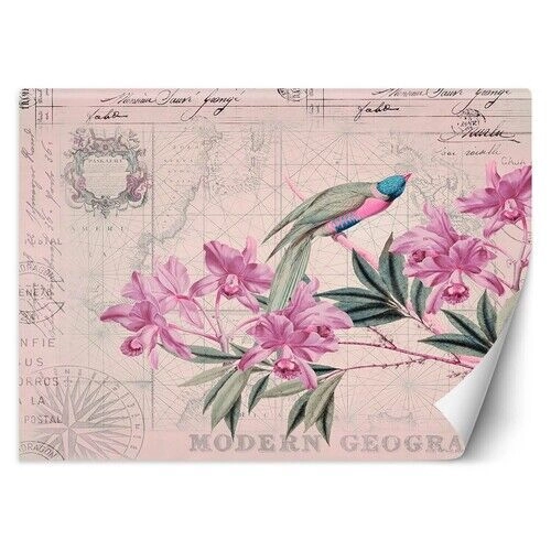 Fototapet, Blomster Fugle Vintage Pink