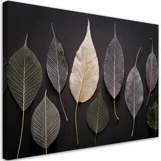 Lærred print, Minimalisme efterlader glamourplanter - (60x40)
