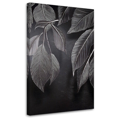 Lærred print, Minimalisme efterlader planter sorte og hvide - (80x120)