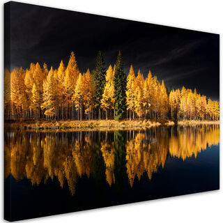 Lærred print, Landskab Skov Natur Guld