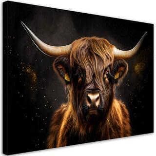 Lærred print, Scottish Cow Glamour