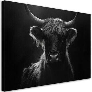 Lærred print, Skotsk ko sort og hvid