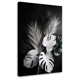 Lærred print, Monstera blade Palmeblade Sort og hvid