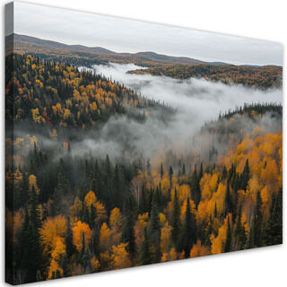 Lærred print, Skov i tåge naturlandskab