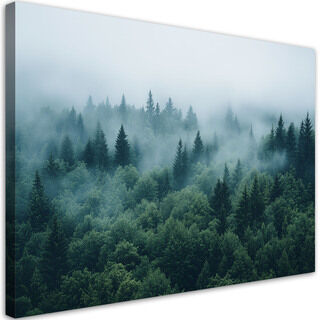Lærred print, Grøn skov i tågen naturlandskab