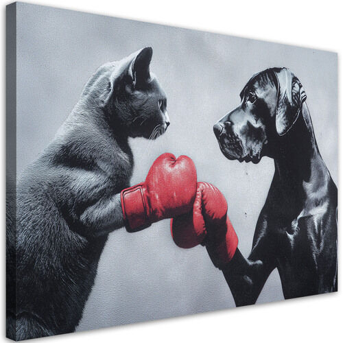 Lærred print, Kat og hund i ringen