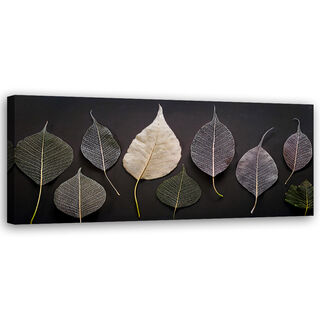 Lærred print, Minimalisme efterlader glamourplanter - (90x30)
