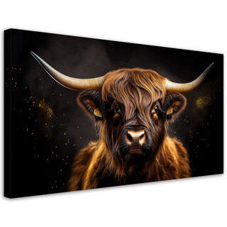 Lærred print, Scottish Cow Glamour - (80x40)