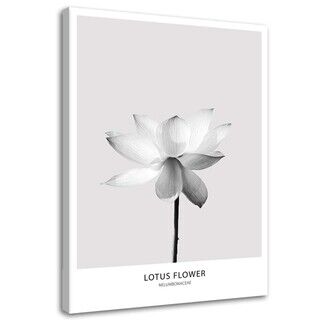 Lærred print, Hvid lotusblomst