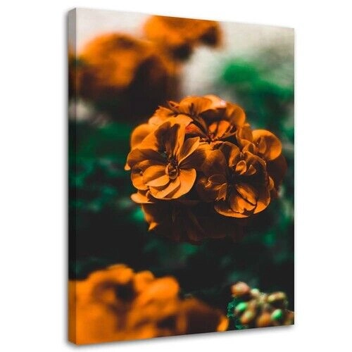 Lærred print, Orange blomster