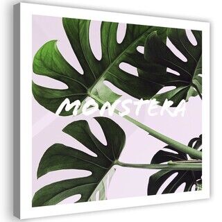 Lærred print, Eksotiske Monstera-blade