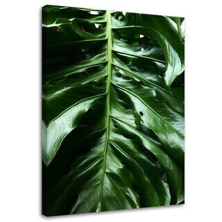 Lærred print, Glat blad af en monstera-plante