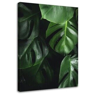 Lærred print, Monstera blade