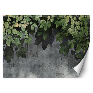 Wallpaper, Leaves on concrete background