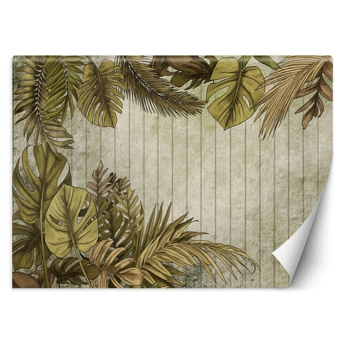 Wallpaper, Tropical leaves on a background of boards