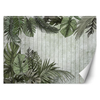 Wallpaper, Exotic leaves on plank background