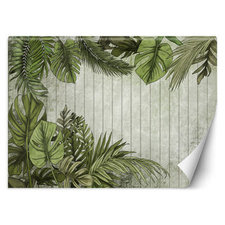 Wallpaper, Exotic leaves on a background of boards