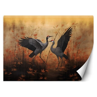 Wallpaper, Crane Nature Birds