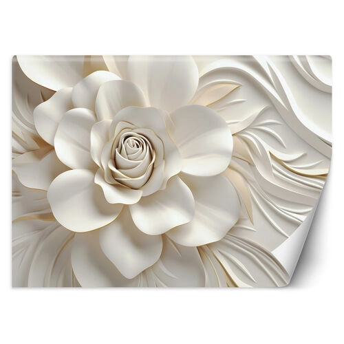 Wallpaper, White rose 3D