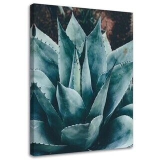 Lærred print, Agave med store blade