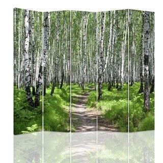 Rumdeler Dobbeltsidet, Birkeskov Natur - (180x170)
