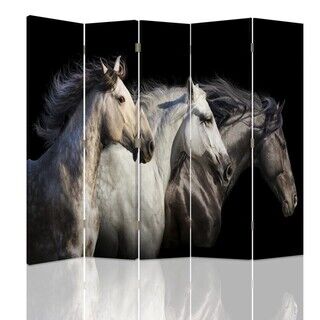Rumdeler Dobbeltsidet, Galop af heste - (180x170)
