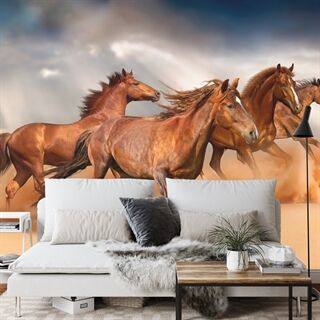 Photo wallpaper Horses Running in the Desert FT-2976-FALL