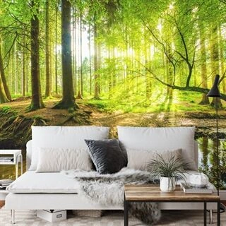 Fototapet Smukt Skovlandskab Om Foråret I 3D-Effekt