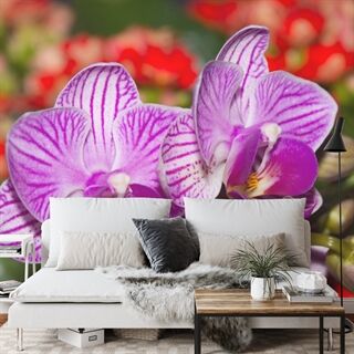 Fototapet Optisk Orchid 3D