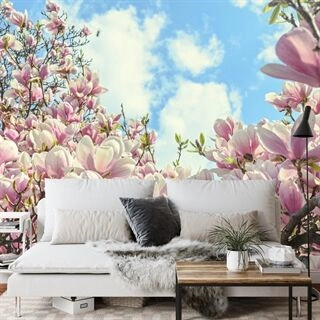 Fototapet Farverig Blomstrende Magnolia