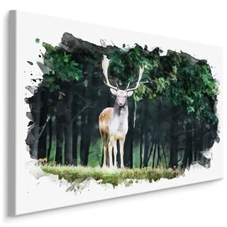 Lærred En Hjort I Skoven Malet Med Akvarel