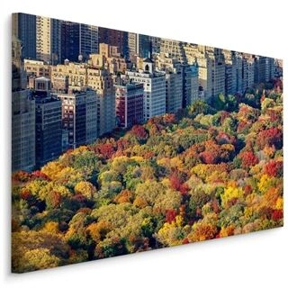 Lærred Central Park Luftfoto