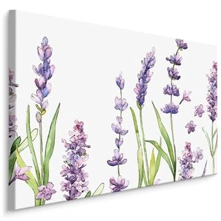 Lærred Akvarel Lavendel Blomster På En Hvid Baggrund