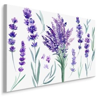 Lærred Blomstrende Lavendel Malet Med Akvarel