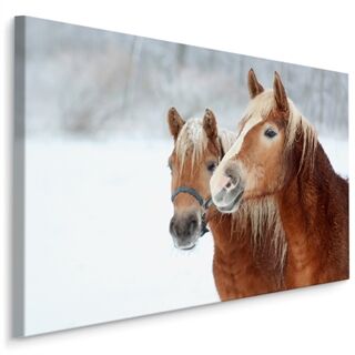 Lærred Heste I Sneen