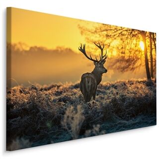 Canvas print Deer In The Morning LB-737-C
