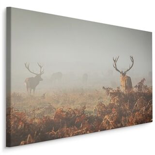 Canvas print Deer In The Fog LB-760-C