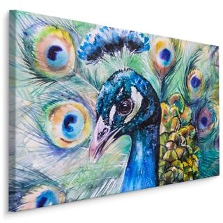 Canvas print Peacock With Colourful Feathers LB-808-C