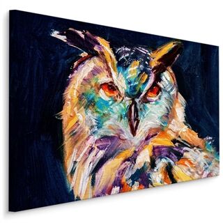 Canvas print Owl As Painted LB-837-C