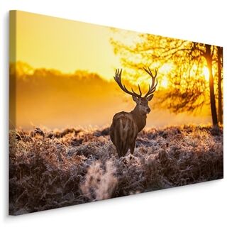 Canvas print Deer in the Morning Sun LB-968-C