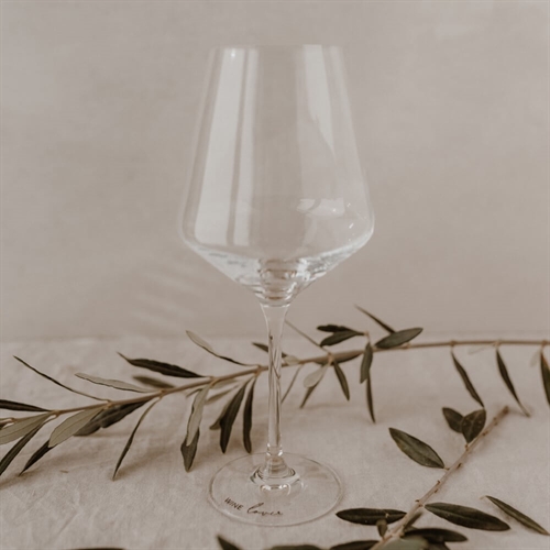 Vinglas Wine Lover - 490 ml