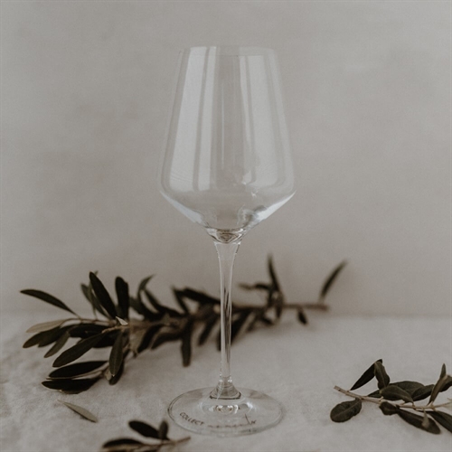 Vinglas Collect moments - 390 ml